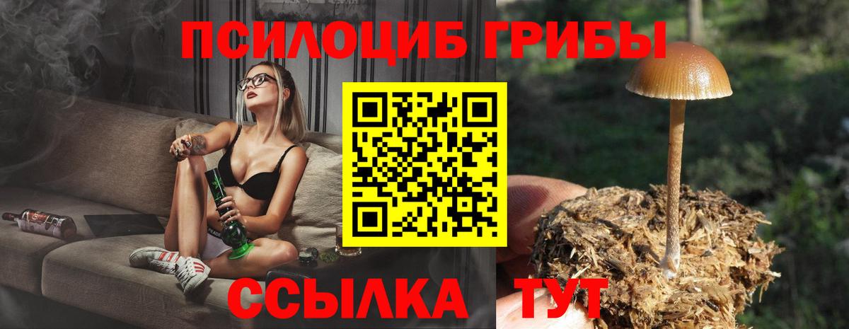 Псилоцибиновые грибы Cubensis  Вход с VPN  Александров 