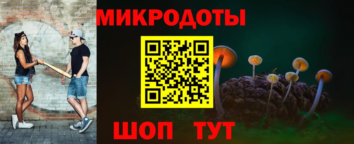 Галлюциногенные грибы Psilocybe Александров